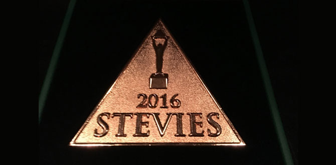 Nef’e Stevie Awards’tan bir ödül daha