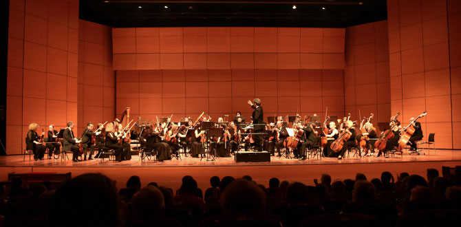 İstanbul Devlet Senfoni Orkestrası Obua Sanatçısı Sezai Kocabıyık’a eşlik edecek…